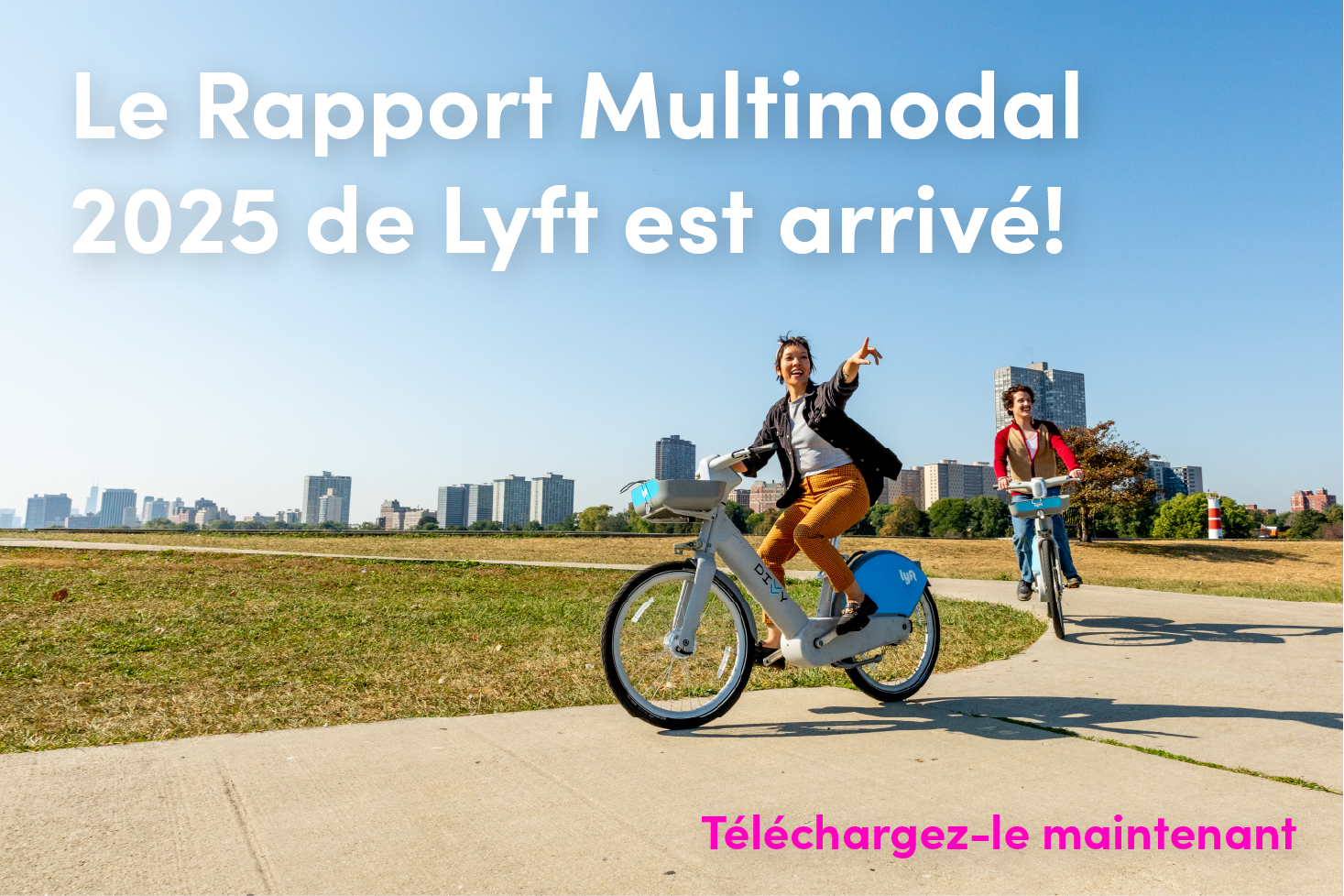 LMR-visu-FR.png (2.33 MB)